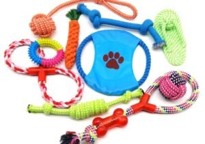 set de juguetes para perros