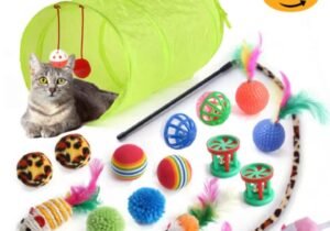 Set de juguetes para gatos